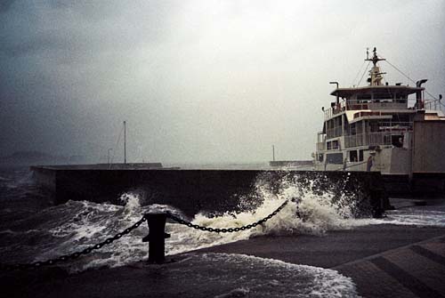 LeicaM4+Summicron-M 50mm f2.0/3rd-generation絞りf2.8